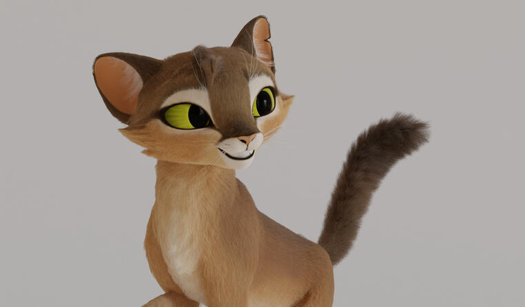 Miscellaneous Models