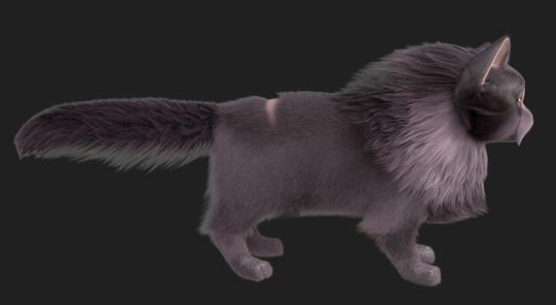 Fur groom in progress